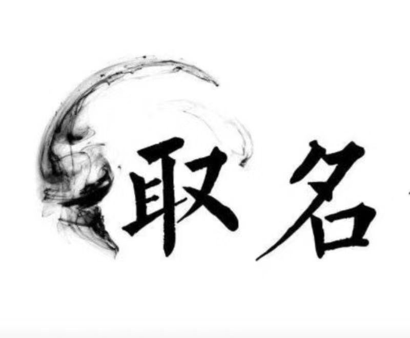  平武宝宝取名 大师一对一人工起名